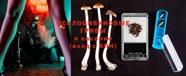 таблы Алзамай