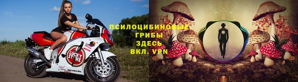 винт Алексеевка