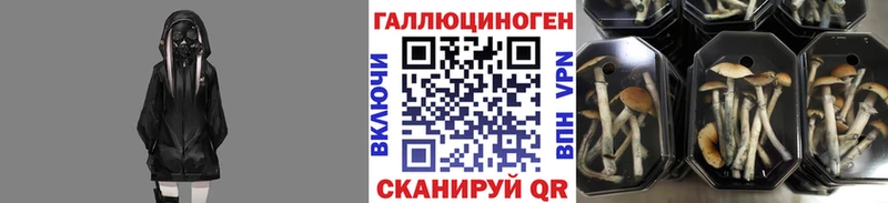 маркетплейс наркотические препараты  Лахденпохья  Псилоцибиновые грибы прущие грибы 